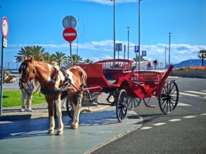 Kutsche Porto Santo