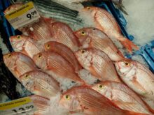 Supermarkt Porto Santo 6