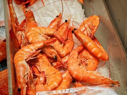 Supermarkt Porto Santo 8